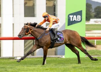 Golden Slipper placegetter set for $2 million Kosciuszko assault