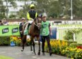 The Spring Power Rankings: The 10 horses set to own the big races