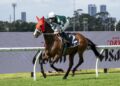 Kelly exit fuels concerns, Barnavara has an early spring glow, Lloyd’s close call sees plus one for the punters and on for the bookies