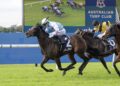 Freedman expecting Cold Brew to heat up