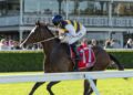 European import Boniface faces barrier challenge
