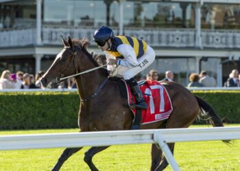 European import Boniface faces barrier challenge