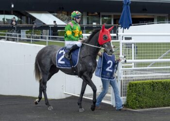 Bustling’s Sydney experiment over as Price stable targets Melbourne success