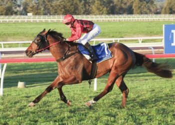 Unbeaten Sobek ready for city test