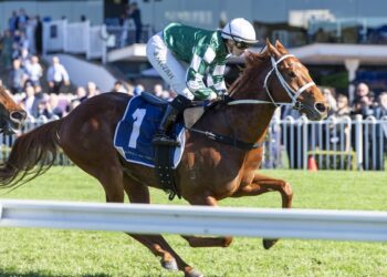 Waller plots Coolmore path for exciting unbeaten colt Omolong after Rosehill win