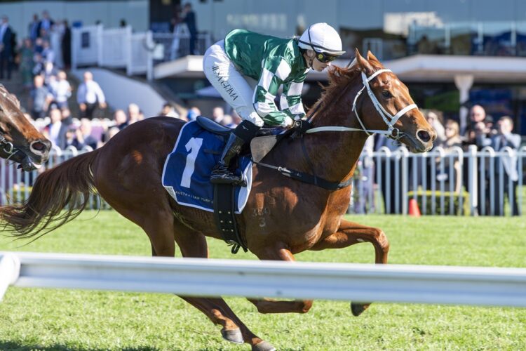 Omolong defied a big drift to keep his unbeaten record alive. (Image: Bradley Photos)