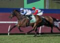 Punters cash in with monster multis across Finals Day