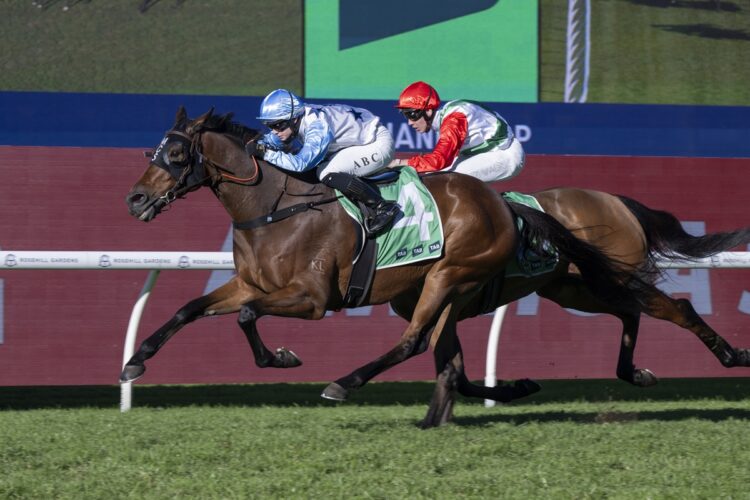 Anythink Goes helped one TAB punter secure a huge multi collect (Credit: Bradley Photos)