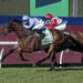Punters cash in with monster multis across Finals Day