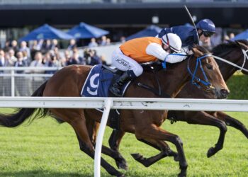 David Payne unveils Oaks hope after Randwick upset