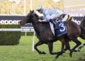 Cold Brew on the boil, sparking wild scenes after another dominant Randwick win