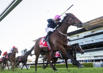 Bold Sam Clipperton ride powers Mickey’s Medal to Randwick upset