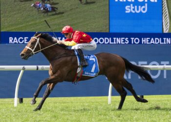 Joint Venture earns shot at spring riches