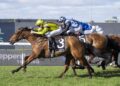 Sword Of Legacy keeps Dunn’s hot streak alive