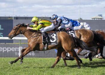 Sword Of Legacy keeps Dunn’s hot streak alive