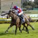 Payne’s rising stars strike at Canterbury