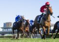 Scintillation earns shot at Melbourne riches