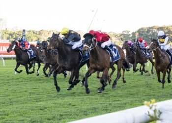 Rock Empire delivers Maher’s first Crown Lodge win
