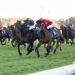 Rock Empire delivers Maher’s first Crown Lodge win
