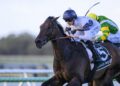 Thebudgiesmugla to follow Half Yours’ spring Cups path