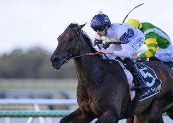 Thebudgiesmugla to follow Half Yours’ spring Cups path
