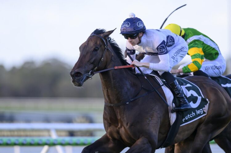 Thebudgiesmugla is set to tackle Spring features after winning the Caloundra Cup. Courtesy Michael McInally/Racing Queensland