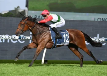 Portelli’s bargain buys ready to repay his faith