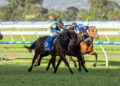 Wet-track specialist Lingani set to relish Flemington conditions in Sprint Final
