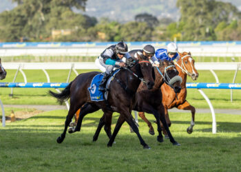 Wet-track specialist Lingani set to relish Flemington conditions in Sprint Final