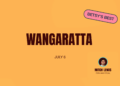 Mitch Lewis’ Wangaratta preview: Fitness to the fore on a heavy deck