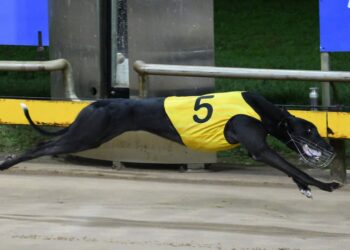 Fair or not? Group 1 favourite forced to change name after complaint