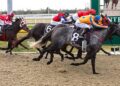Riccarton Synthetic tips: Red-hot NZ Trial Watcher chases another winning day