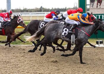 Riccarton Synthetic tips: Red-hot NZ Trial Watcher chases another winning day