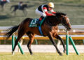 In The Lab: Stinger Glass: Does his rating profile stack up for the Melbourne Cup?