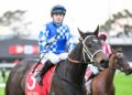 First city win, now Kinninmont targets Flemington
