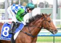 Maher takes patient path with unbeaten Tennessee Bound