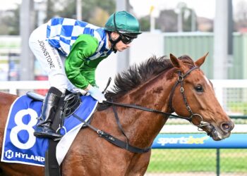 Maher takes patient path with unbeaten Tennessee Bound