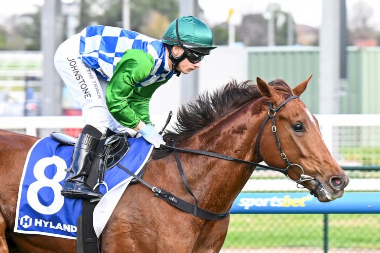 Tennessee Bound ridden by Jabez Johnstone wins the Hyland Race Colours Handicap at Caulfield Heath Racecourse on June 17, 2026 in Caulfield, Australia. (Photo by Pat Scala/Racing Photos)