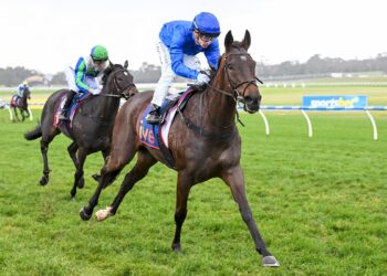 Blue Willow ridden by Jabez Johnstone wins the ive > Handicap at Sportsbet Sandown Hillside Racecourse on July 29, 2026 in Springvale, Australia. (Photo by Pat Scala/Racing Photos)
