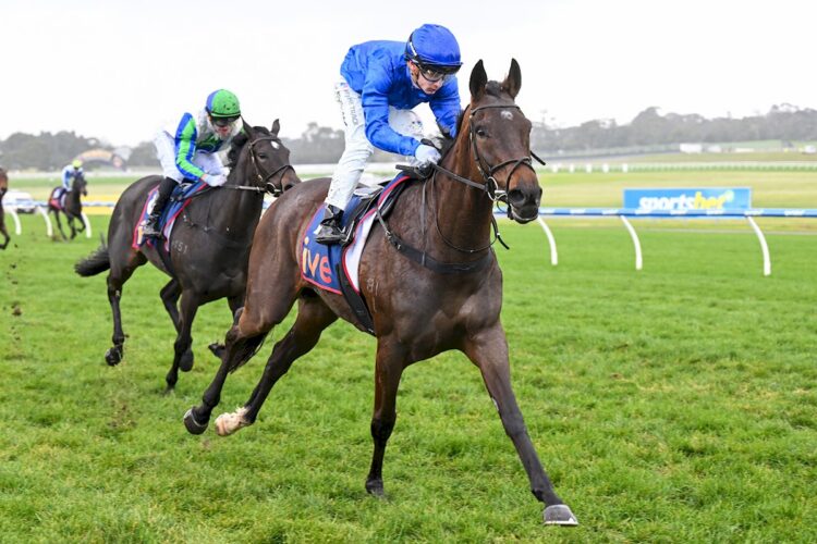 Blue Willow ridden by Jabez Johnstone wins the ive > Handicap at Sportsbet Sandown Hillside Racecourse on July 29, 2026 in Springvale, Australia. (Photo by Pat Scala/Racing Photos)