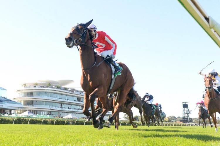 The Western Front (NZ) ridden by Luke Currie wins the TAB We're On at Flemington Racecourse on April 25, 2026 in Flemington, Australia. (Photo by Brett Holburt/Racing Photos) B