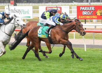 Queensland winter could pay off for Cote Atlantique