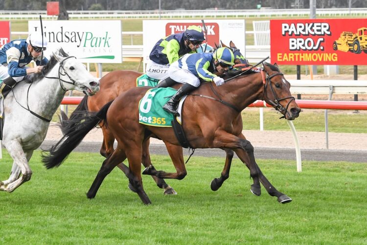 Cote Atlantique (IRE) ridden by Beau Mertens wins the bet365 Seymour Cup at Seymour Racecourse on October 12, 2025 in Seymour, Australia. (Photo by Brett Holburt/Racing Photos)