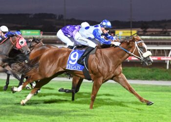 Stokes unleashes exciting stable recruit Bohemian Angel on heavy track