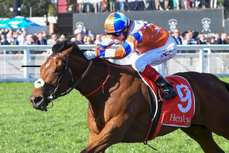 Bellatrix Star ridden by Craig Williams wins the Henley Homes Schillaci Stakes at Caulfield Racecourse on October 12, 2024 in Caulfield, Australia. (Photo by Brett Holburt/Racing Photos)
