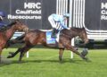 Angels Fury earns Black Type shot