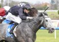 Patient approach pays off as Ichnusa stays unbeaten
