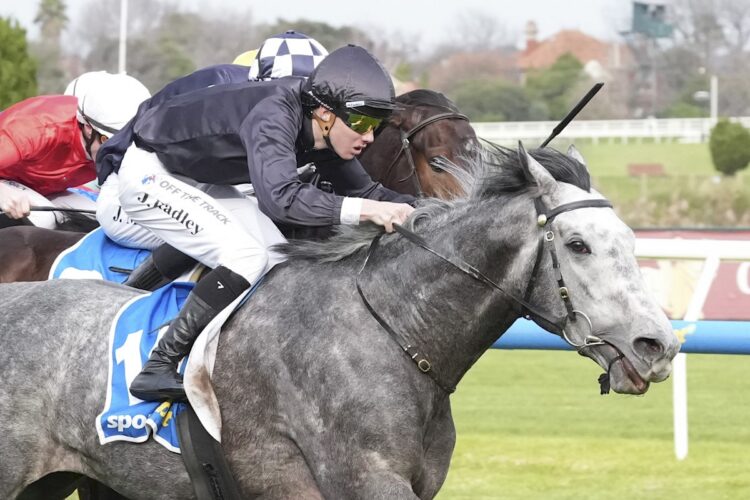 Ichnusa ridden by Jackson Radley wins the Sportsbet Feed Handicap at Caulfield Racecourse on July 11, 2026 in Caulfield, Australia. (Photo by Brett Holburt/Racing Photos)