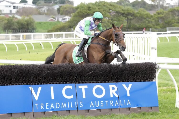Mitch Ellis thinks Saint Eustace can get the cash at Casterton on Sunday (Credit: Racing Photos)