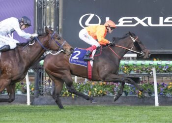 Sydney switch pays off as Marwooba gives Hawkes family Flemington feature